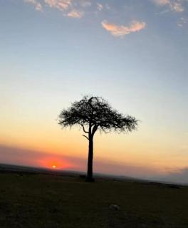 Oloiba Nkuti Lodge - 4