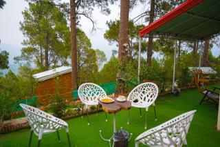 Pine Tree House - New Murree - 6