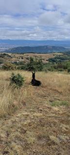 Gîte Les Cadichons de la Grange - 7