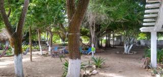 Ecohotel Nativa Beach - 9