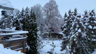 Wohnung im Grünen Haus Cara 90 qm 4 Zi Kü Bad - 5