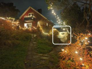 Cozy apt in 50s villa 10 min tram ride to city - 0