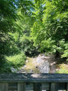 Studio Barb'n'Roll - 3