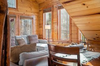 Hot Tub No Pet Fee Prime Location - Beary Cozy - 3