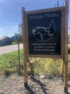 La Maison du Dragon - 5