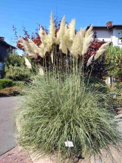 Санта Марина-Сладка къща - 5