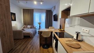 Global Apartments Katowice Centrum - 8