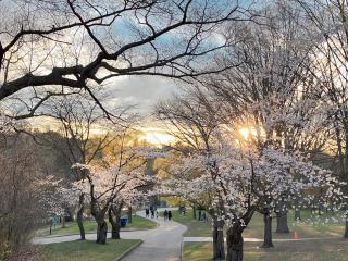 Beautiful 3 Bedrooms Guesthouse - 9