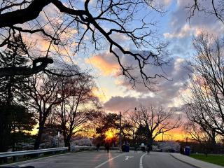 Beautiful 3 Bedrooms Guesthouse - 2