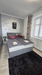 Moderní apartmán v blízkosti centra,Wifi,Netflix - 6