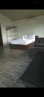 Pino Longe, Río Celeste - 0