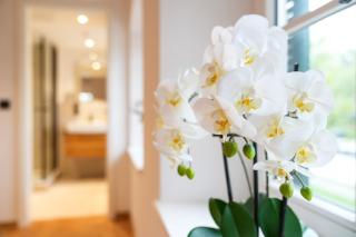 Gasthof am Schloss - 4