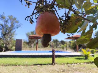 Rancho do tucano - 9