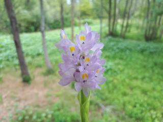 Hermosa casa en el río - Delta Tigre - 9