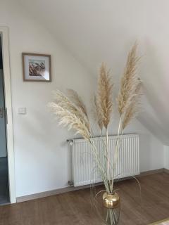 Gemütliche Ferienwohnung in Neustadt am Rübenberge - 2