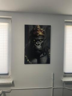 Apartament Perfect Relax - 5