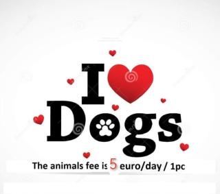 VILNIUS apartment with balcony - 9