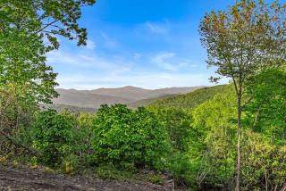 Bull & Bear at Eagles Nest - 3