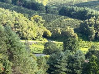 Chasing Clouds Cabin - 7