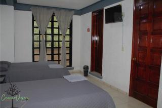 Hotel Boutique Camino Viejo - 7