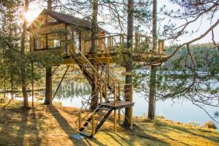 Treehouse Čiekurs - Duķuri - 8