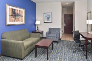 Holiday Inn Express & Suites San Antonio South by IHG - 1