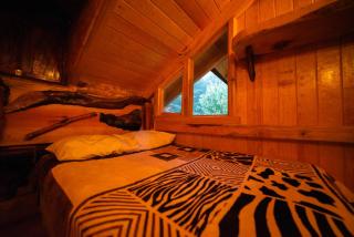 Canto del Bosque Santuario de las luciernagas - Nanacamilpa - 4