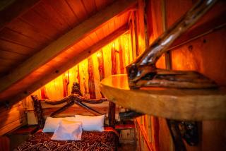 Canto del Bosque Santuario de las luciernagas - Nanacamilpa - 7