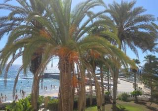 Arguinegin 2 Bedroom Apartment Ocean View - 9