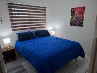 Tropical Palm Retreat - 5