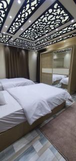 شقه فاخره بالدقي - 5