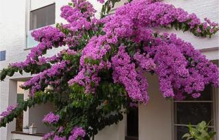 Beautiful Apartment In Pirovac With Wifi - 5