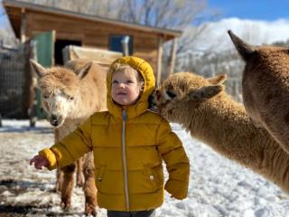 Artistic Garden Casita on Organic Farm in New Mexico - 9