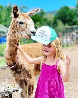 Artistic Garden Casita on Organic Farm in New Mexico - 7