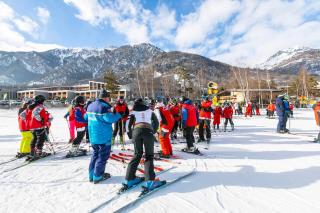 The Theo's Nest - Happy Rentals - 2