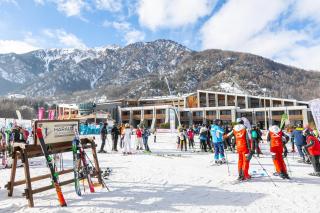 The Theo's Nest - Happy Rentals - 1