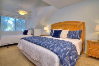 Richmond Park - 17D - 4