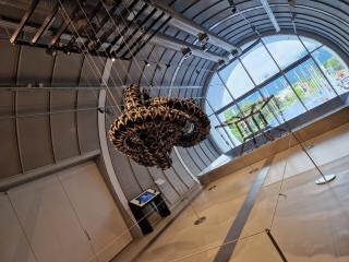 Chambre accueillante - 1