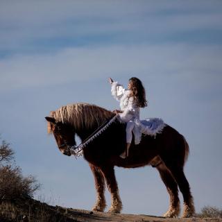 Unique Desert Experience for a Romantic Getaway Ideal for Exotic Animal Lovers in Morongo Valley, California. - 8