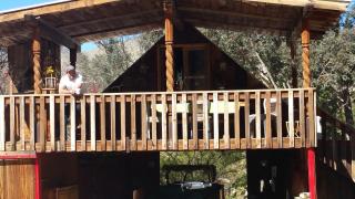 Unique Desert Experience for a Romantic Getaway Ideal for Exotic Animal Lovers in Morongo Valley, California. - 7