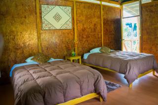 Amazon Planet - Tambopata - 2