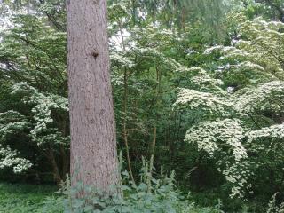 4 star holiday home in Vedbæk - 2