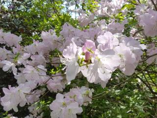 4 star holiday home in Vedbæk - 3