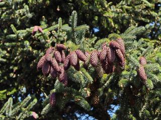 4 star holiday home in Vedbæk - 1