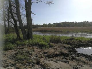 4 star holiday home in Fårvang - 1