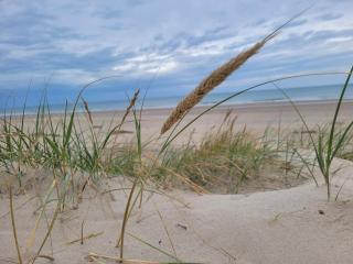 8 person holiday home in Hirtshals-By Traum - 1