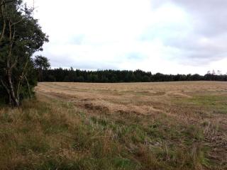 4 person holiday home in Hampen - 1