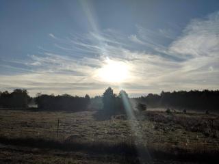 4 person holiday home in Hampen - 3