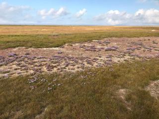 6 person holiday home in Læsø - 1