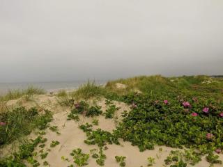 Eco-Friendly Retreat with Spa - By Traum Ferienwohnungen - 8